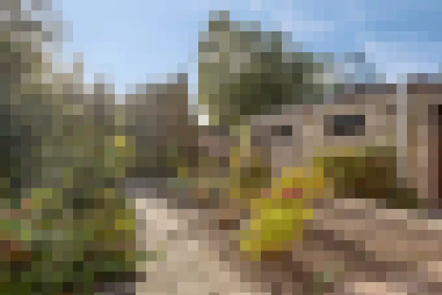 Blokkenweide 4 Chaam thumbnail 33