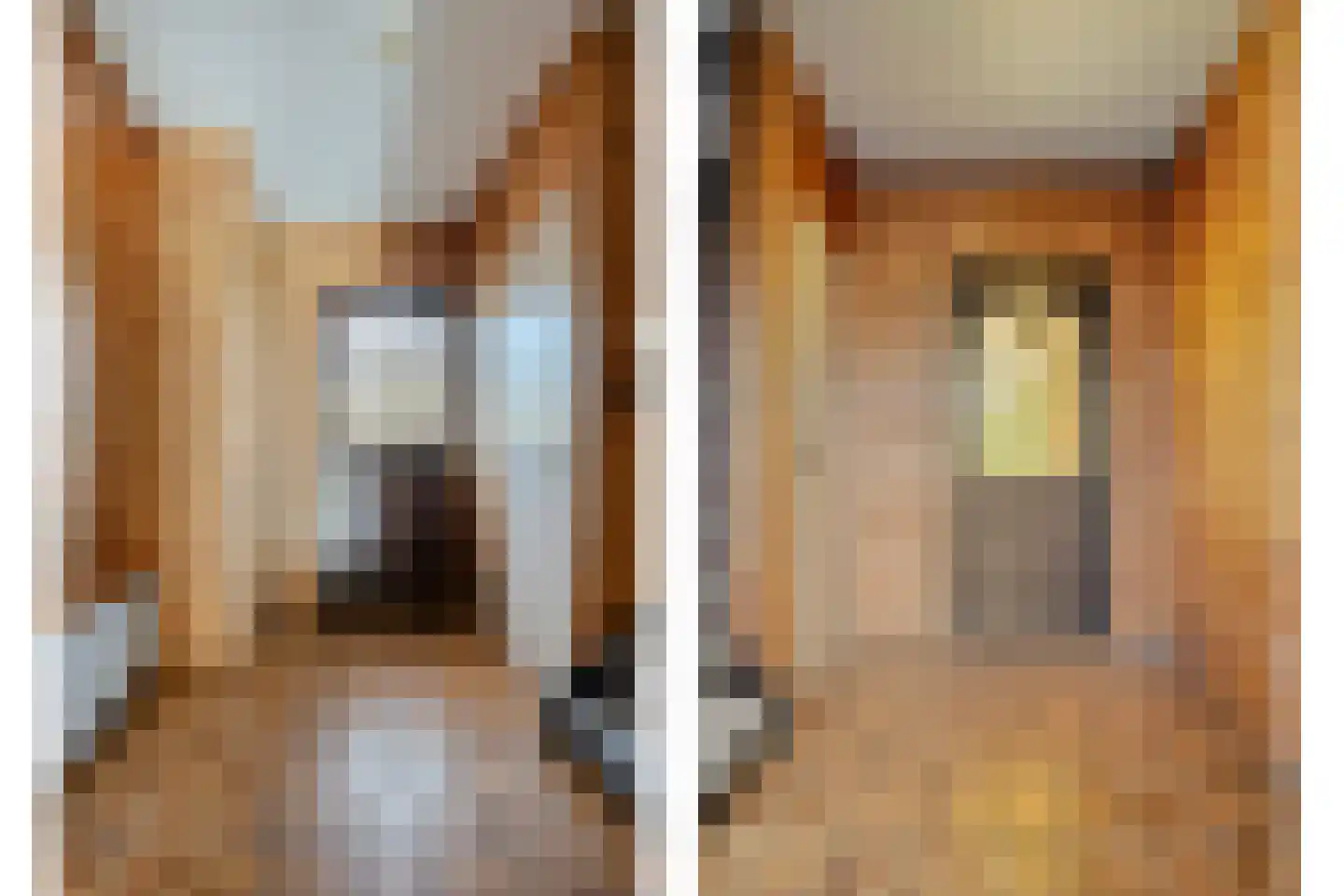 Blokkenweide 4 Chaam thumbnail 5