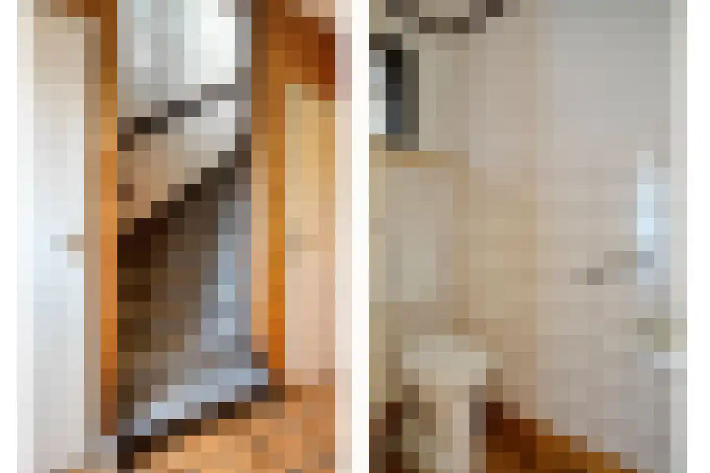 Blokkenweide 4 Chaam thumbnail 6