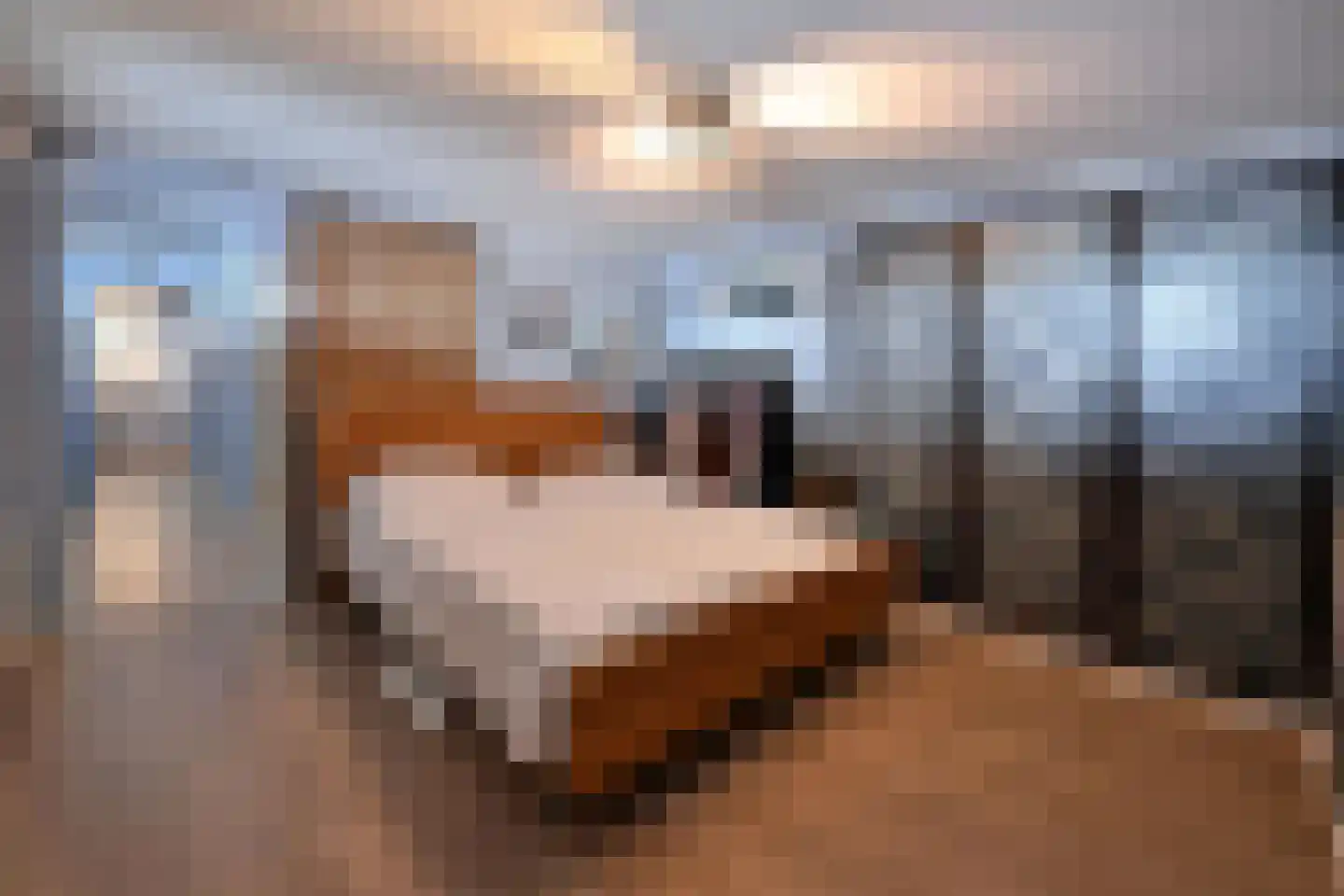 Bloklaan 22 a ZG03 Loosdrecht thumbnail 15