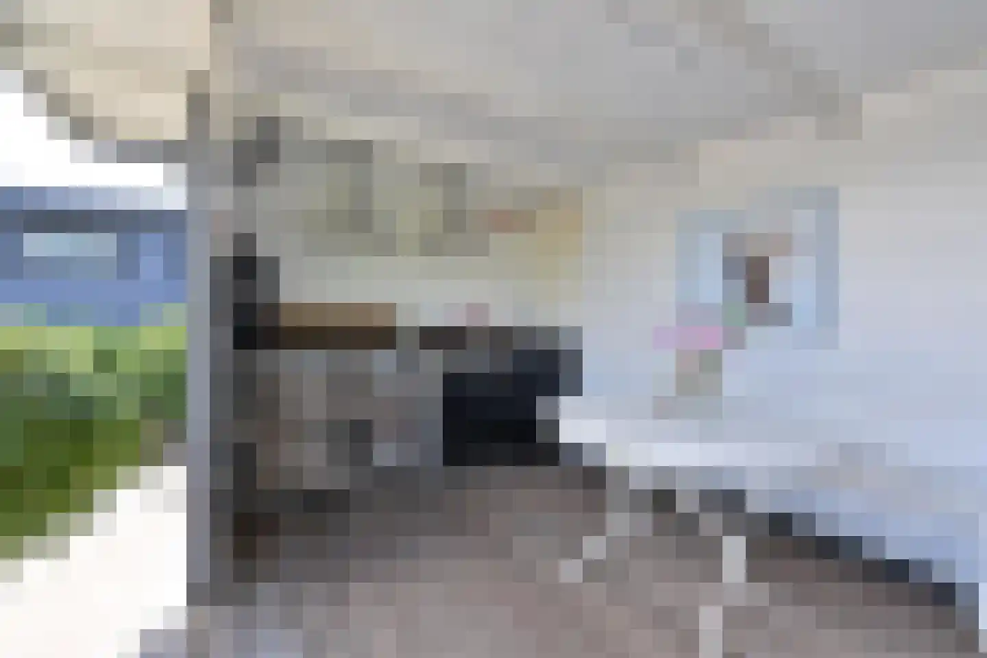 Bloklaan 22 a ZG03 Loosdrecht thumbnail 28