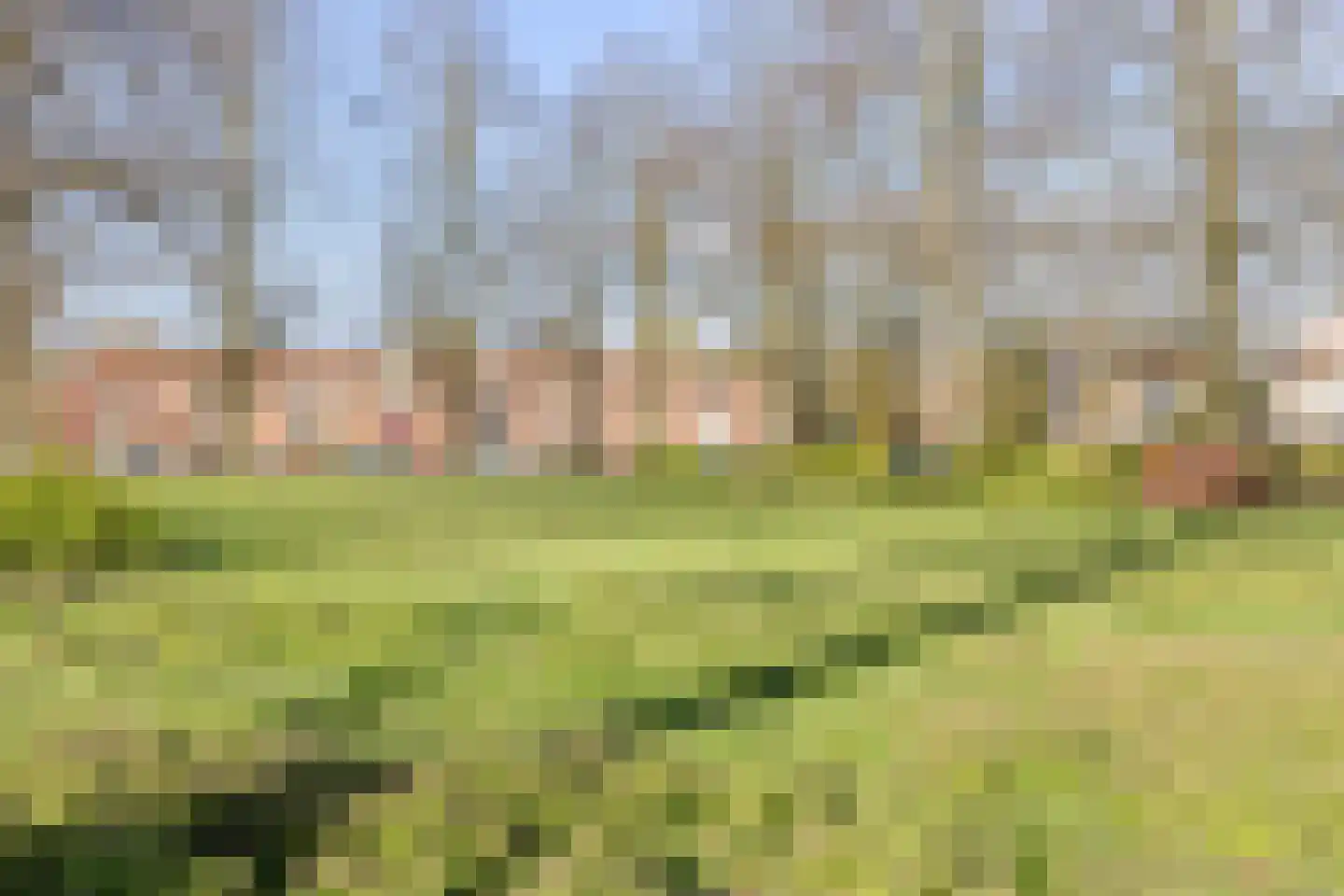 Bloklaan 22 Eindhoven thumbnail 40