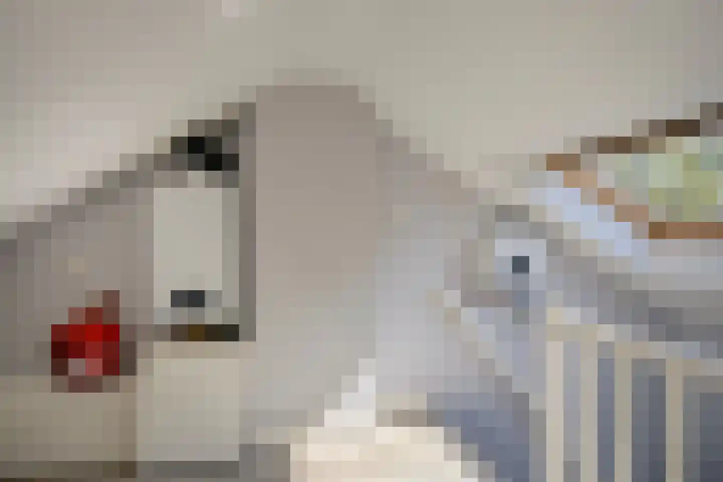 Bloklaan 32 Eindhoven thumbnail 18