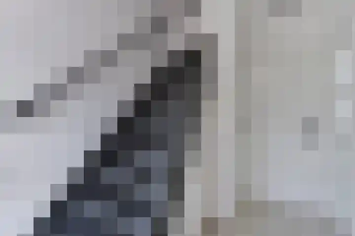 Bloklaan 6 Eindhoven thumbnail 11