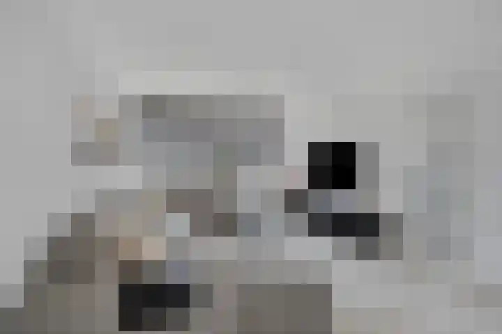 Bloklaan 6 Eindhoven thumbnail 12