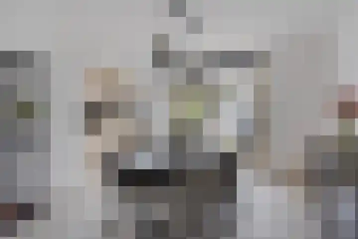 Bloklaan 6 Eindhoven thumbnail 15