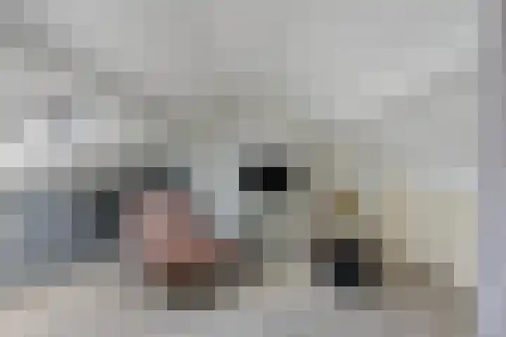 Bloklaan 6 Eindhoven thumbnail 29