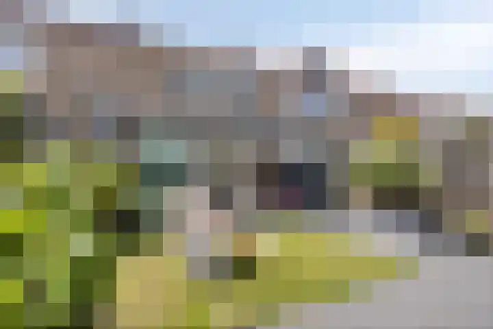 Bloklaan 6 Eindhoven thumbnail 30