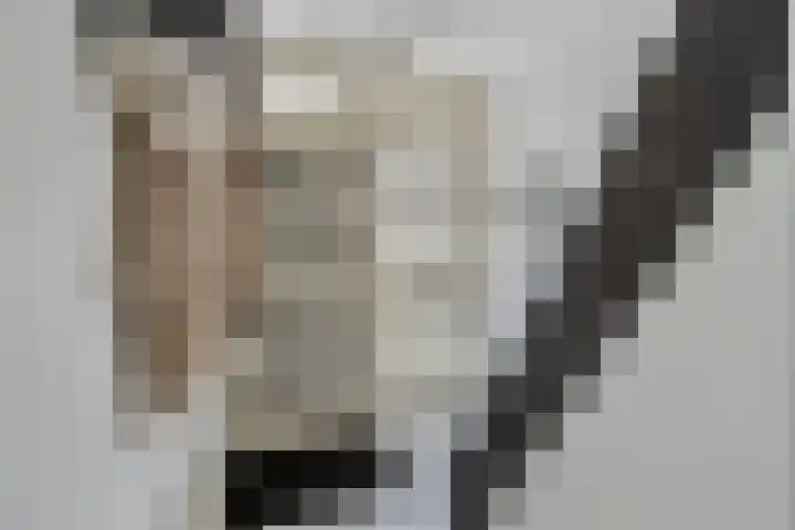 Bloklaan 6 Eindhoven thumbnail 8