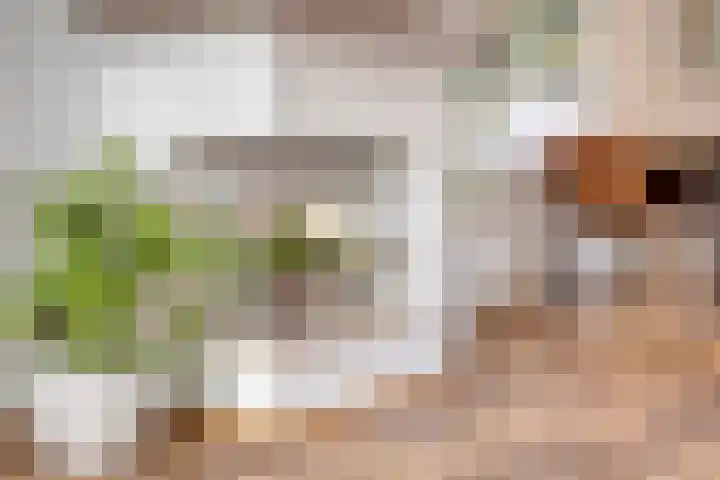 Bloklaan 8 Eindhoven thumbnail 12