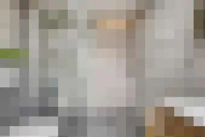 Bloklaan 8 Eindhoven thumbnail 21