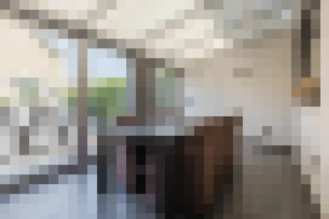 Blokland 1 Bergen op Zoom thumbnail 13