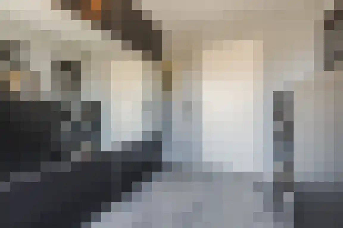Blokland 1 Bergen op Zoom thumbnail 22
