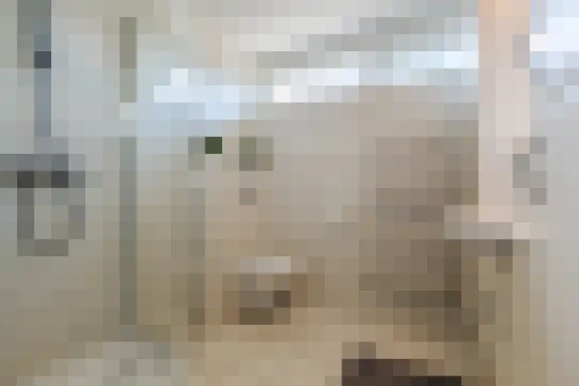 Blokland 1 Bergen op Zoom thumbnail 23