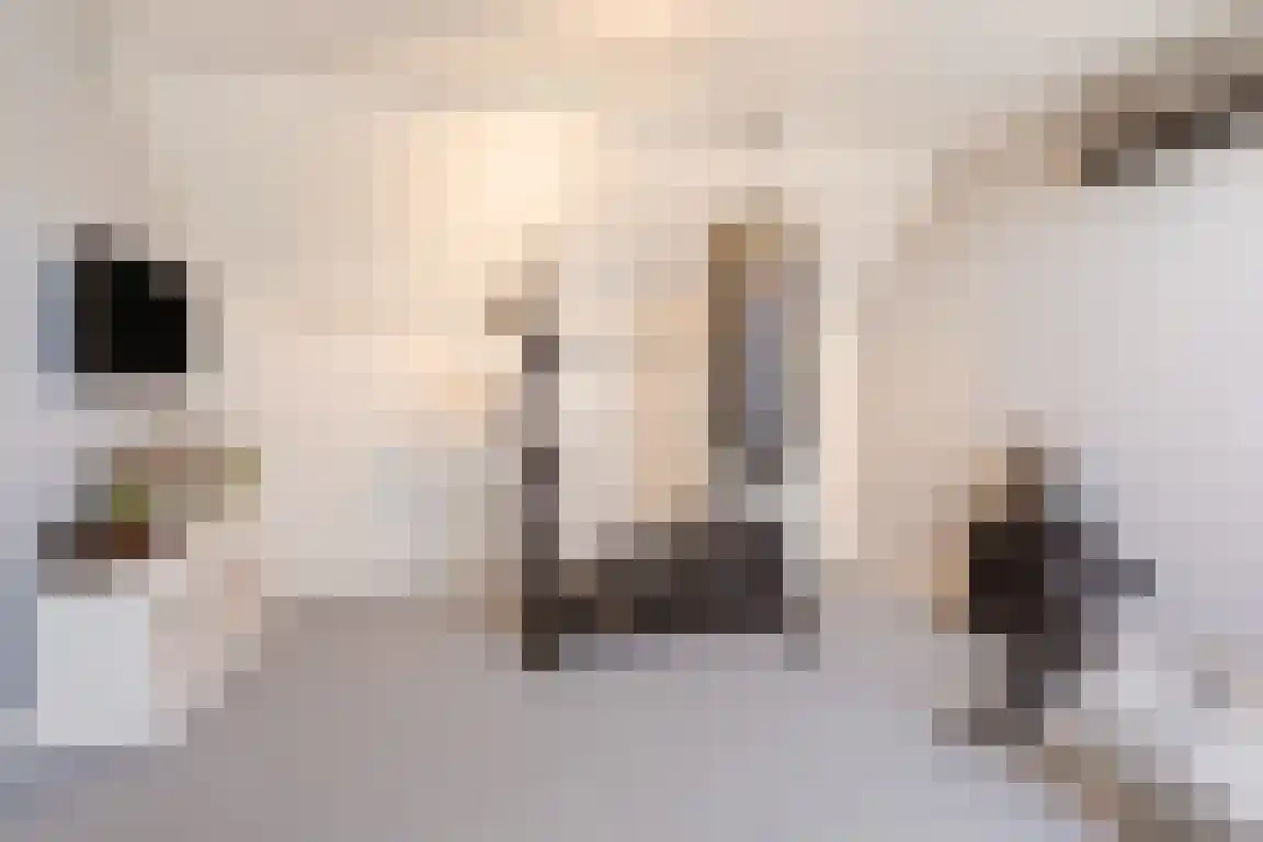 Blokland 1 Bergen op Zoom thumbnail 30
