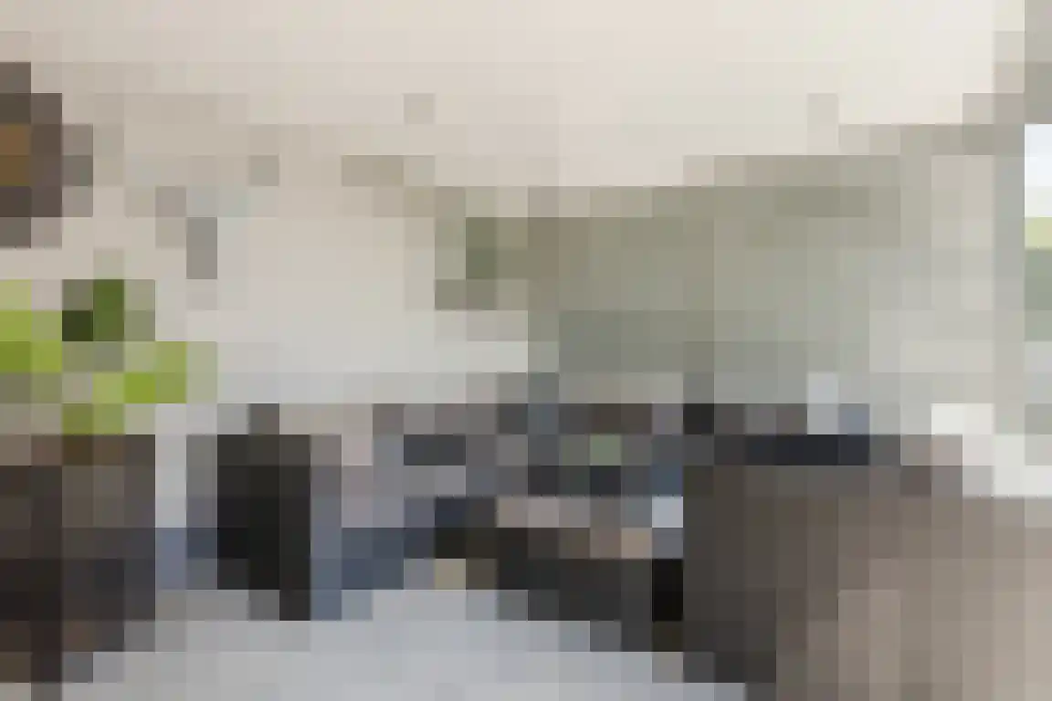 Blokland 1 Bergen op Zoom thumbnail 34