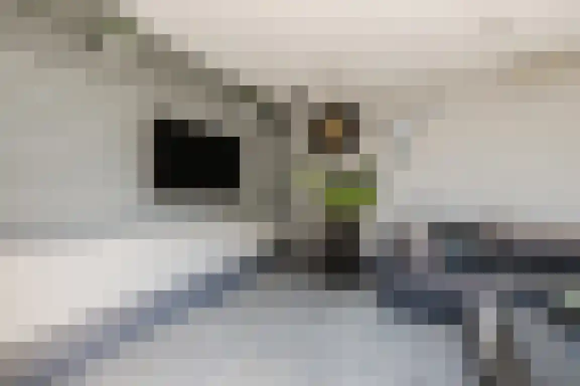 Blokland 1 Bergen op Zoom thumbnail 35