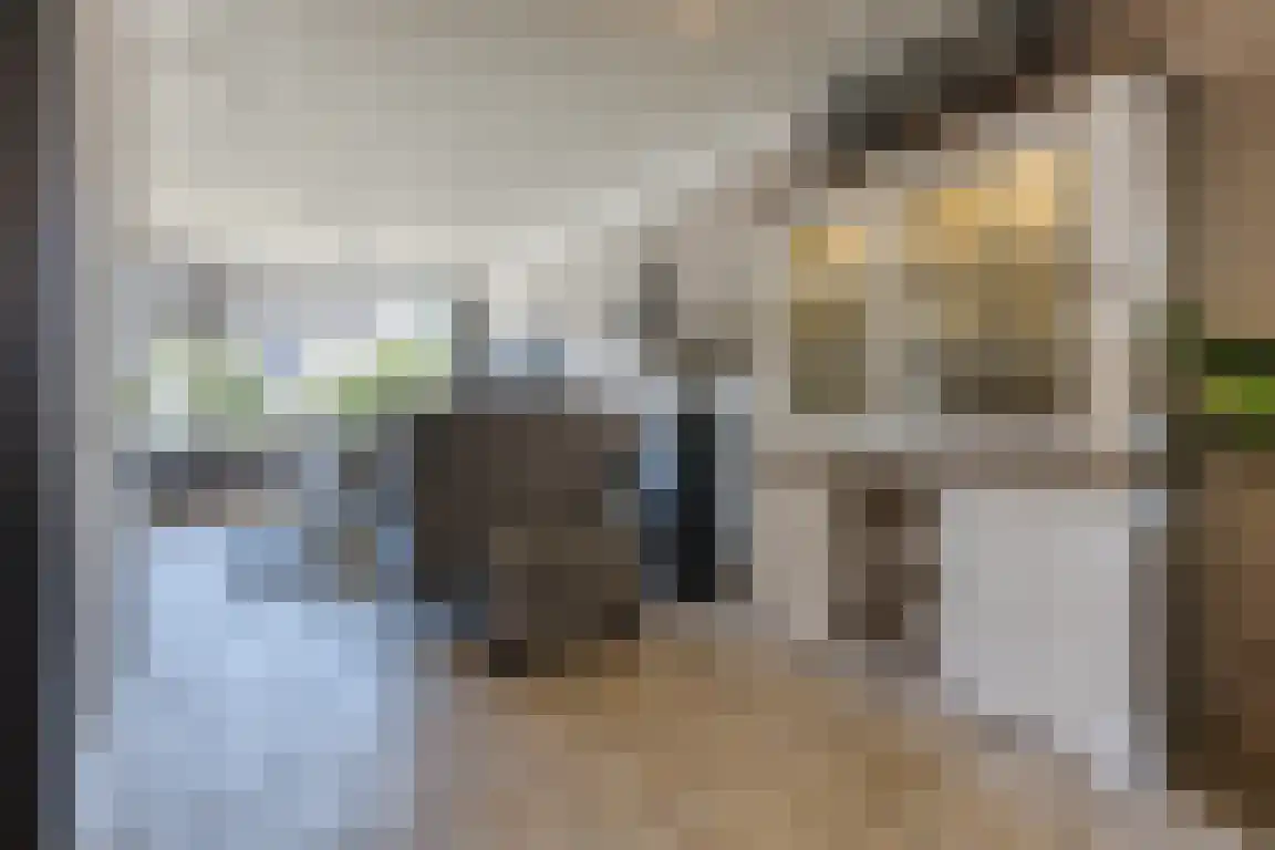 Blokland 1 Bergen op Zoom thumbnail 6