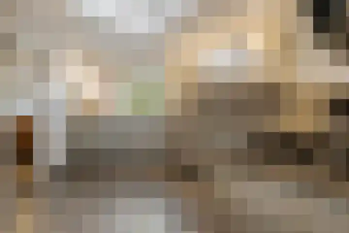 Blokland 1 Weesp thumbnail 13
