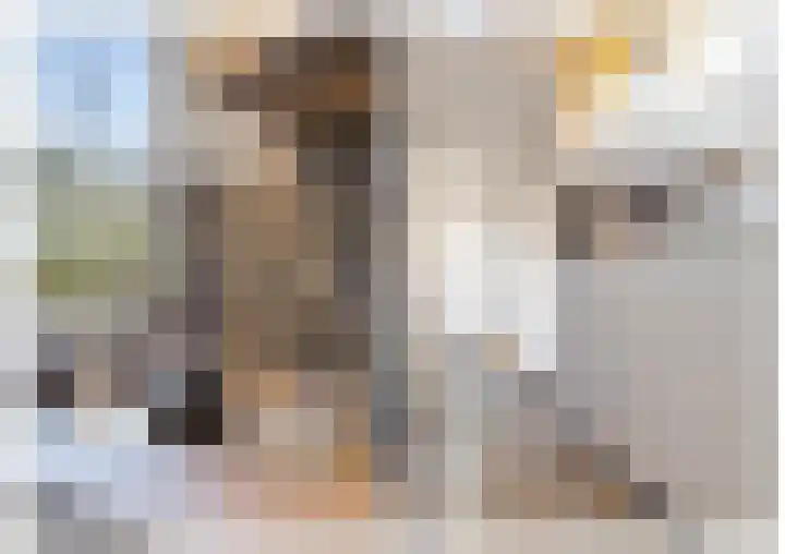Blokland 1 Weesp thumbnail 15