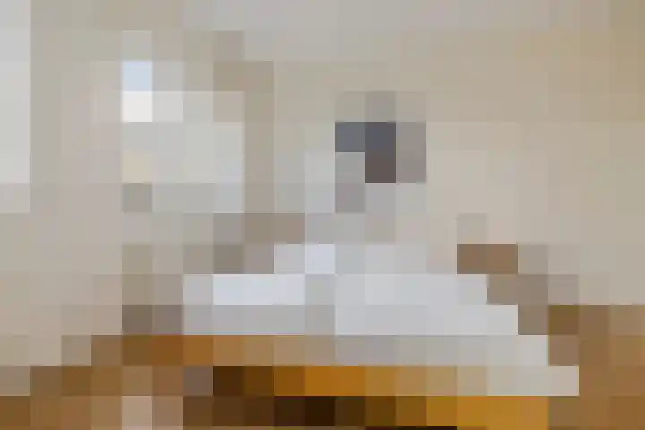 Blokland 1 Weesp thumbnail 27