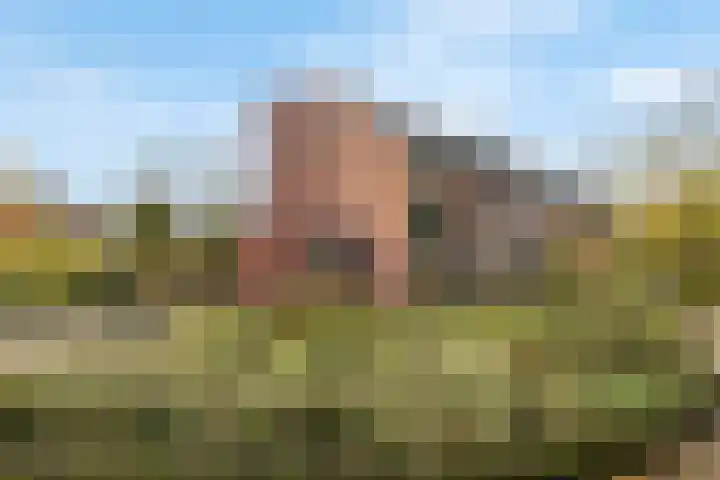 Blokland 1 Weesp thumbnail 5