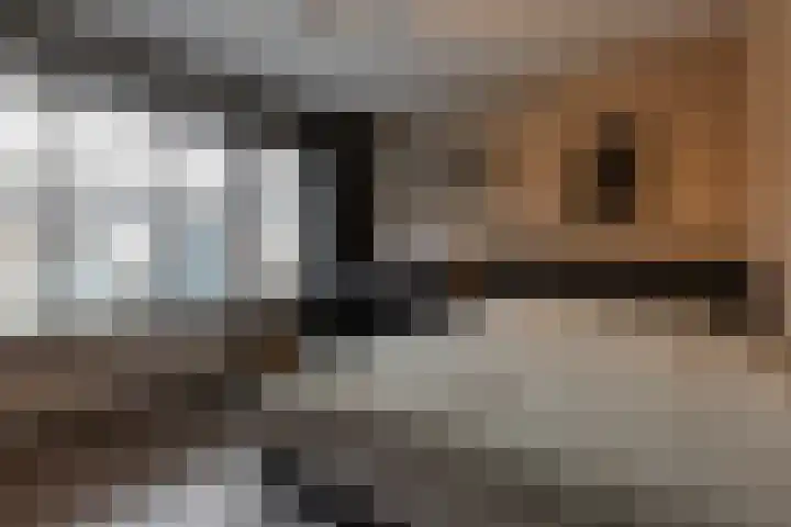 Blokland 13 Bergen op Zoom thumbnail 16