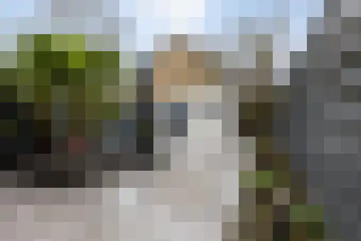 Blokland 13 Bergen op Zoom thumbnail 24