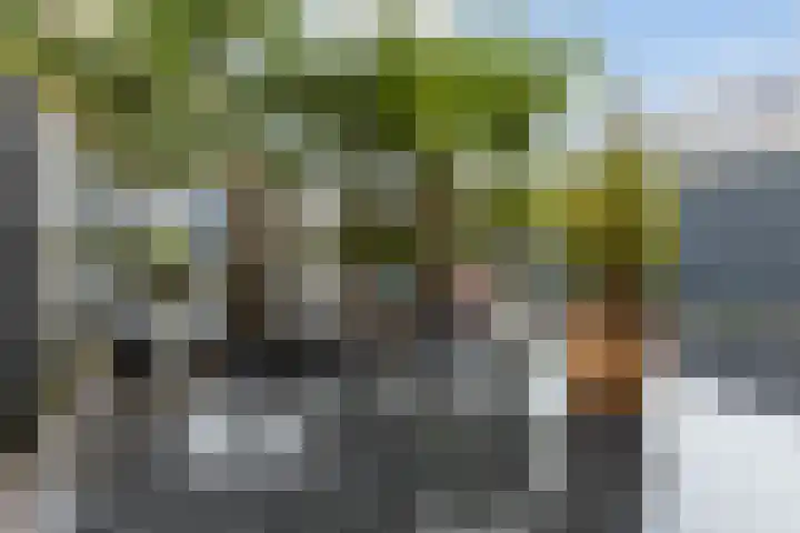 Blokland 13 Bergen op Zoom thumbnail 25