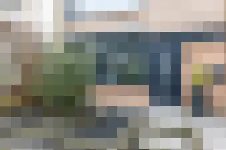 Blokland 13 Bergen op Zoom thumbnail 26