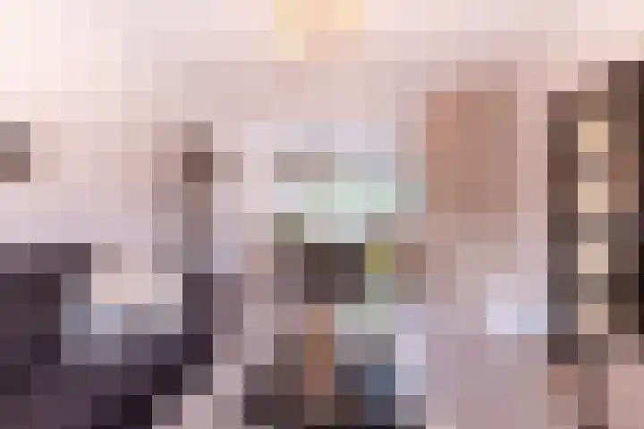 Blokland 13 Bergen op Zoom thumbnail 8
