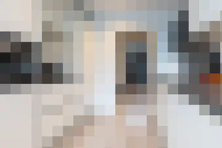Blokland 13 Bergen op Zoom thumbnail 9