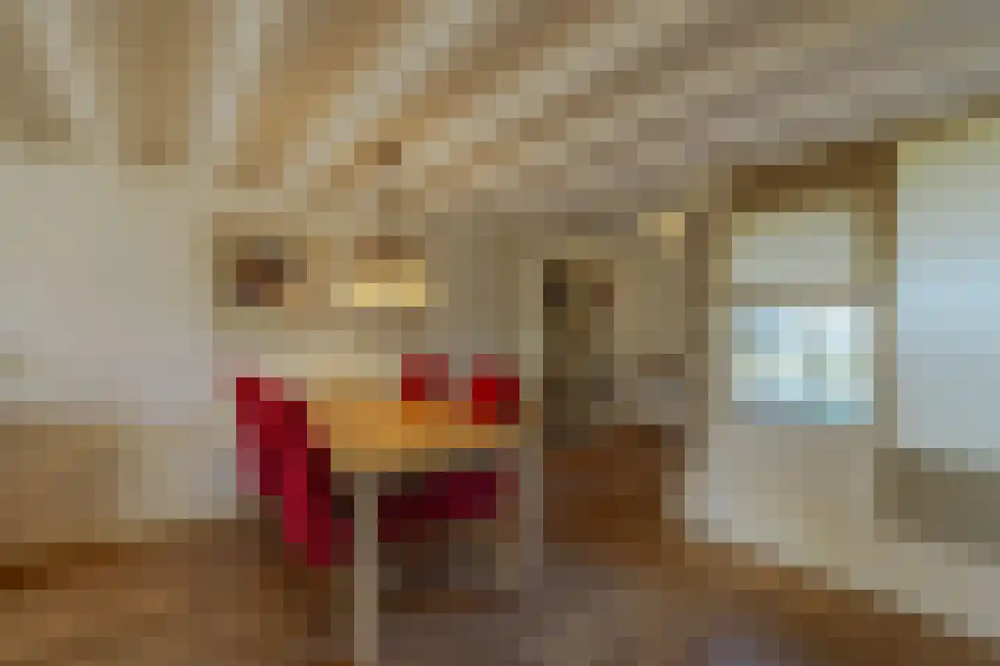 Blokland 17 Huissen thumbnail 10