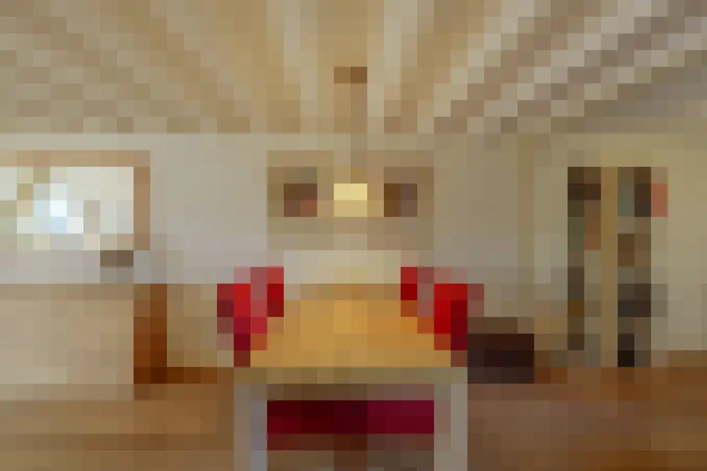 Blokland 17 Huissen thumbnail 11