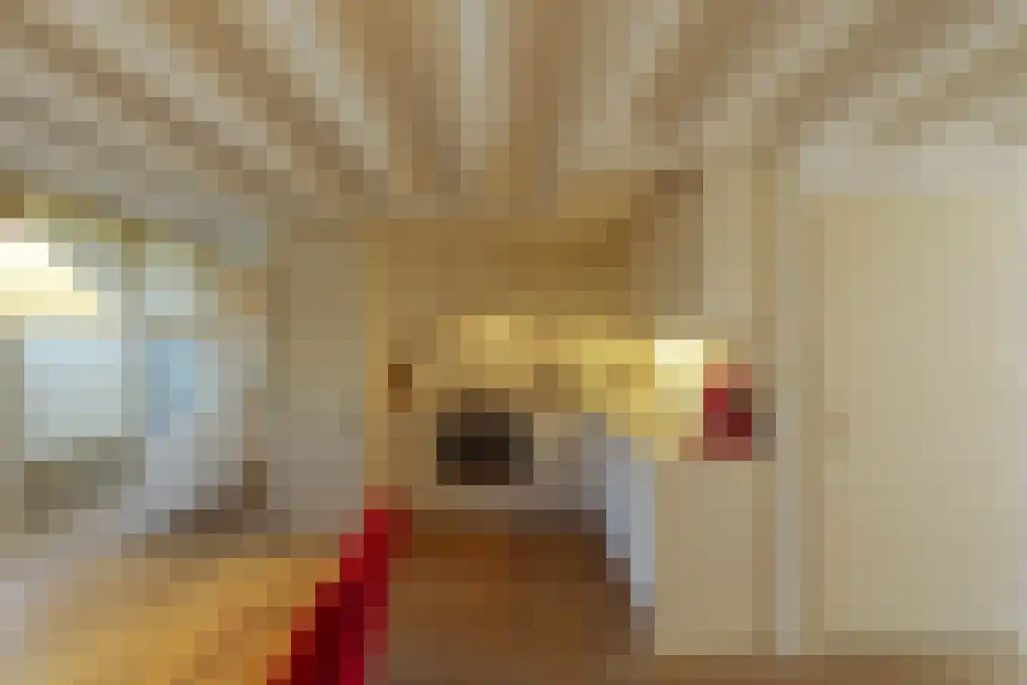 Blokland 17 Huissen thumbnail 12