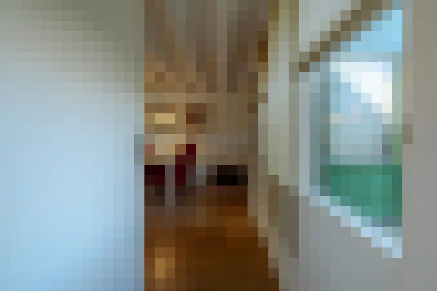Blokland 17 Huissen thumbnail 14