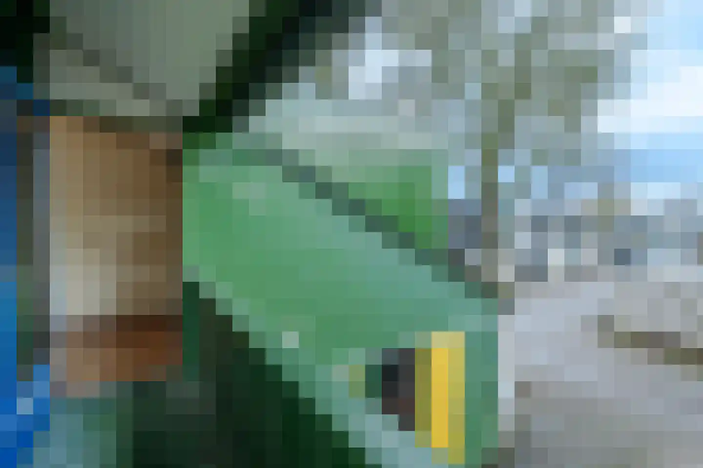 Blokland 17 Huissen thumbnail 17
