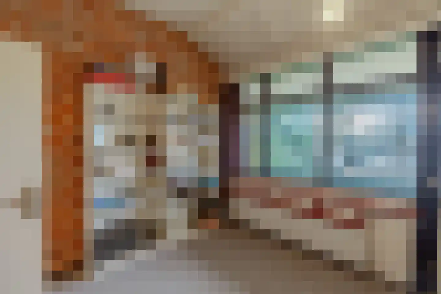Blokland 17 Huissen thumbnail 23