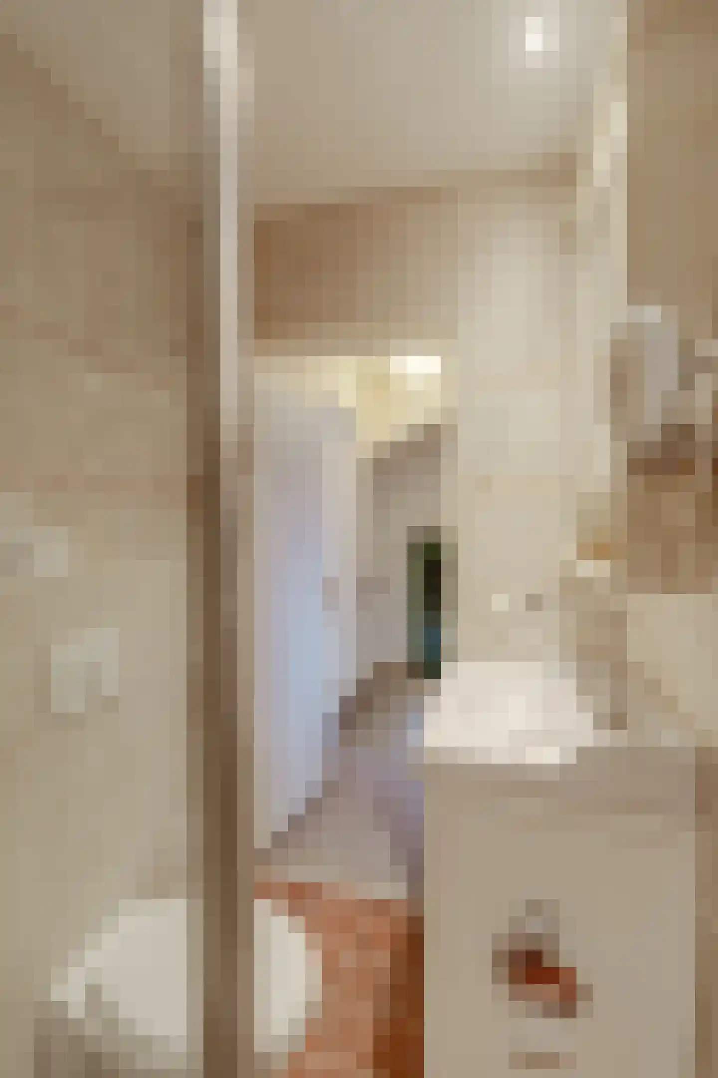 Blokland 17 Huissen thumbnail 25