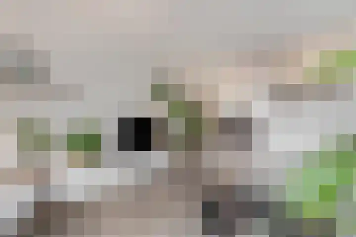 Blokland 21 Huissen thumbnail 10