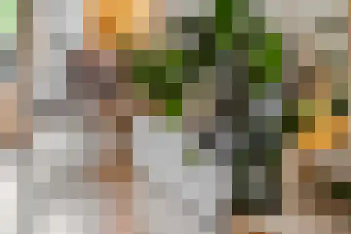 Blokland 21 Huissen thumbnail 11