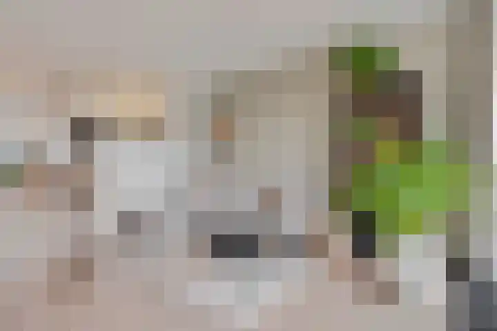 Blokland 21 Huissen thumbnail 12