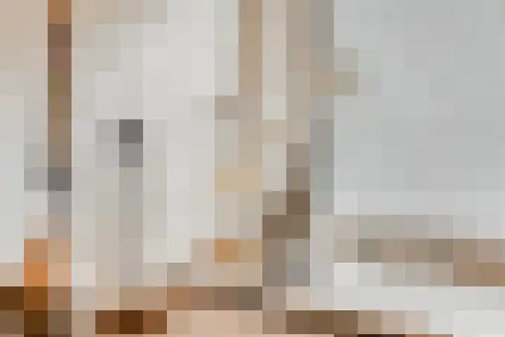 Blokland 21 Huissen thumbnail 14