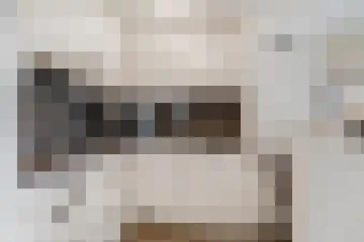 Blokland 21 Huissen thumbnail 17