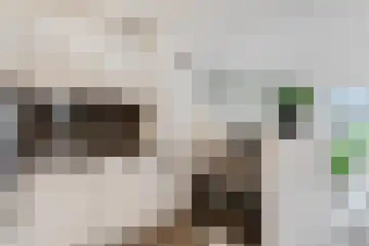 Blokland 21 Huissen thumbnail 18