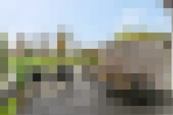 Blokland 21 Huissen thumbnail 21