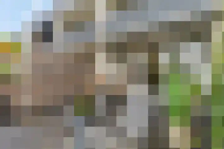 Blokland 21 Huissen thumbnail 22
