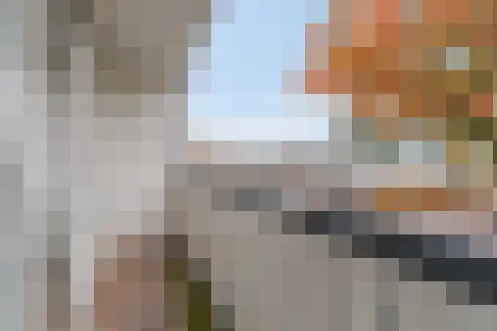 Blokland 21 Huissen thumbnail 30