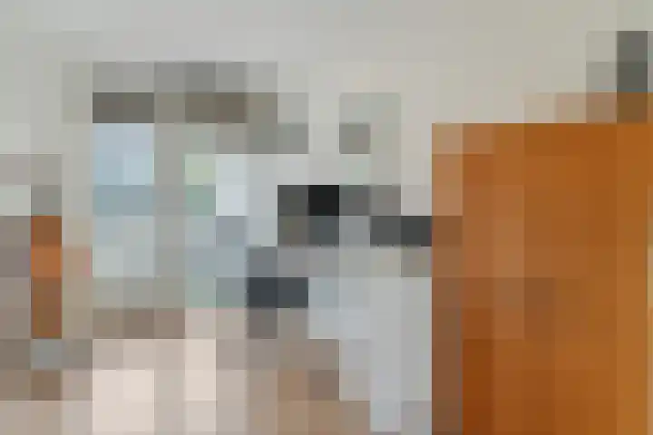 Blokland 21 Huissen thumbnail 34