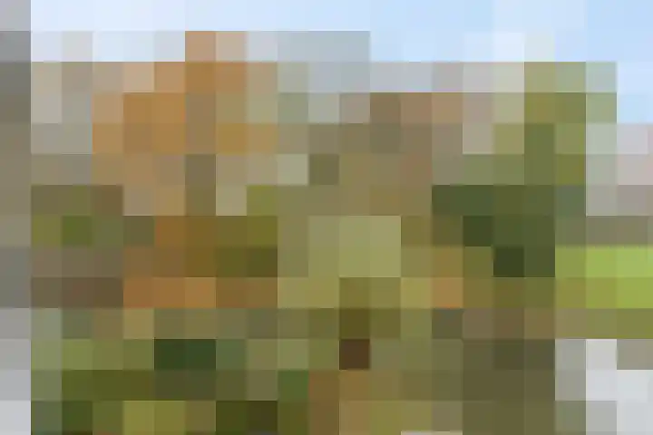 Blokland 21 Huissen thumbnail 40